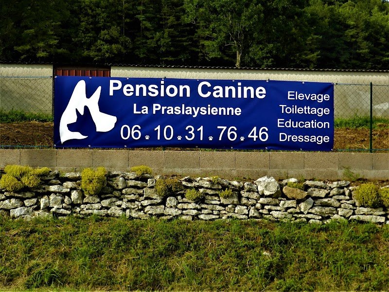 Pension Canine La Praslaysienne - photo 1