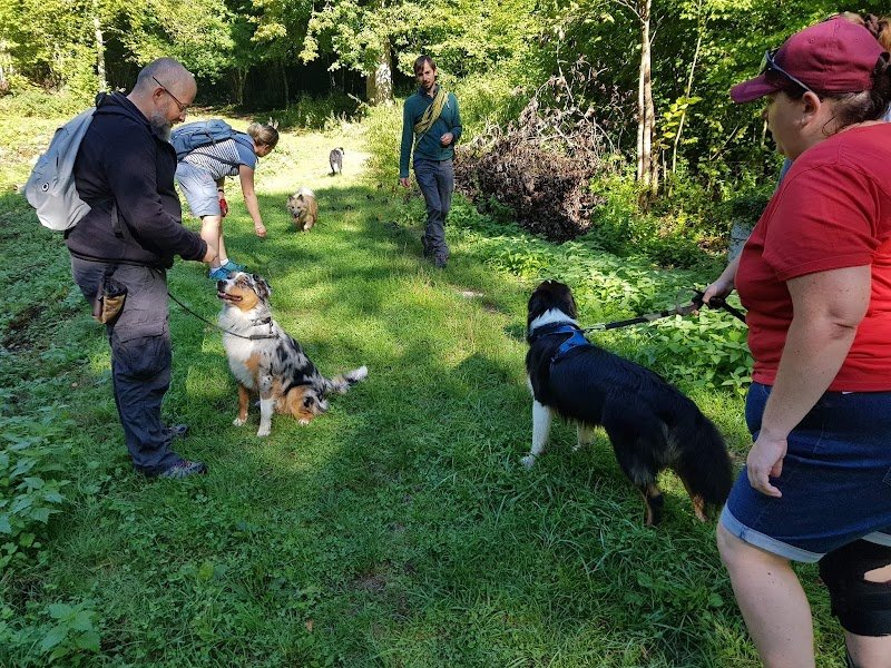 JM-EduCanin - photo 3