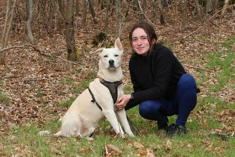 Nordic'Éducation, Éducateur Canin
