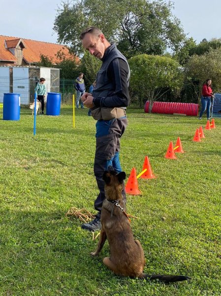 Vincent casiez éducateur canin comportementaliste zootherapeute - photo 2
