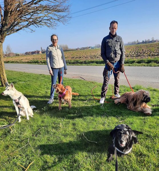 Vincent casiez éducateur canin comportementaliste zootherapeute - photo 3