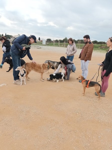 SOS Comportementaliste - Comportementaliste Canin & Félin - photo 1