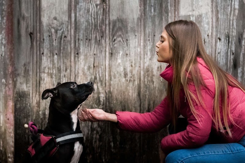 Comportementaliste canin - Coach en éducation & sports canins | Canidées - Education et comportement - Belgique - photo 2