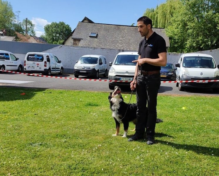 Educateur canin RespectDogs Le Neubourg