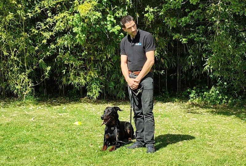 Educateur canin RespectDogs Le Neubourg - photo 2