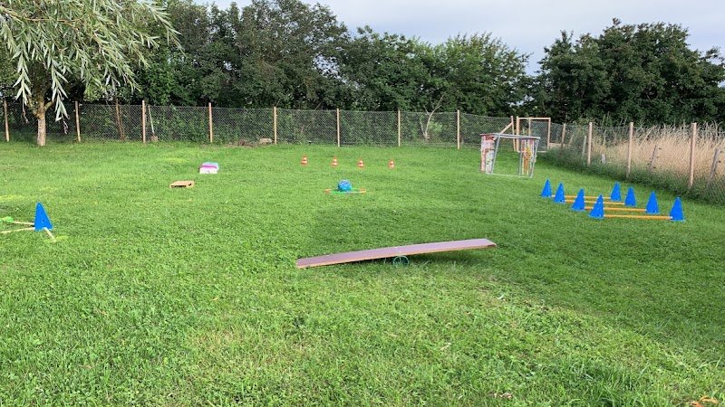 DogsTale - Conseillère ANiFiT - photo 3