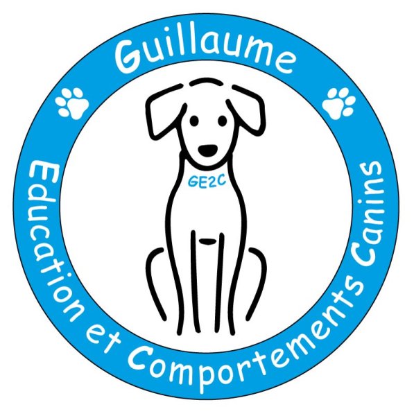 GE2C Guillaume Education et Comportements Canins - photo 2