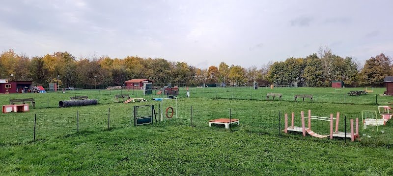 Club canin du grand nancy - photo 1