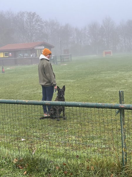Club canin du grand nancy - photo 2