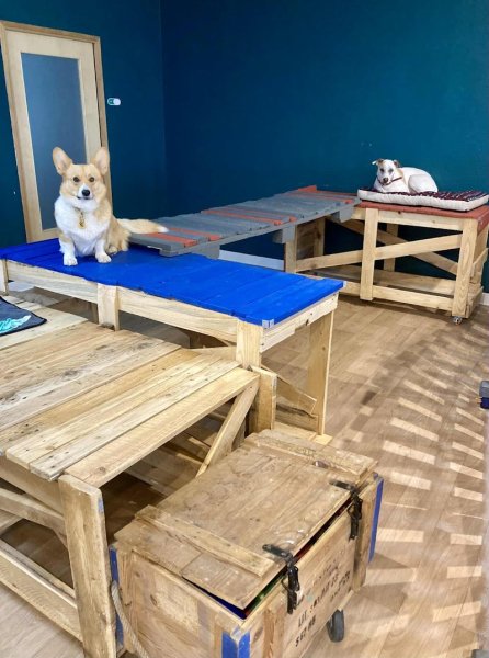 Dog Care Center - HUSSE® - Pickup - photo 2