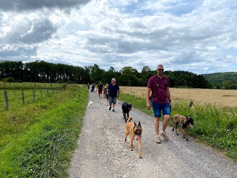 Alpha dog - Comportementaliste Canin - photo 2