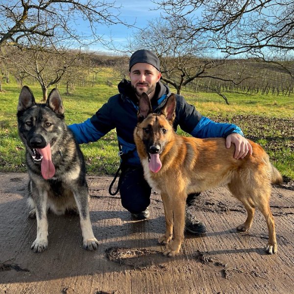 Alpha dog - Comportementaliste Canin - photo 3