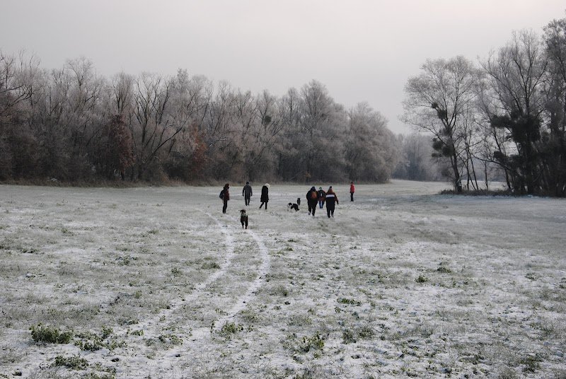 Mellys | Coeur de chien - photo 3