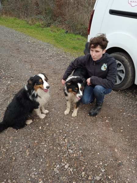 Laurent MINET - Educateur canin - Lunéville et environs - photo 3
