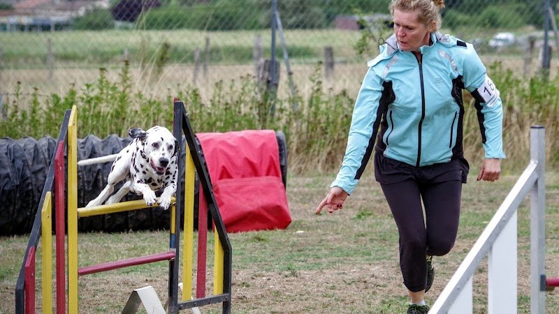 club canin Lunéville - photo 2