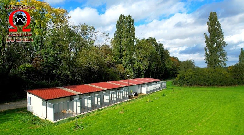 O'MEGAA CAMPUS DU CHIEN. Pension canine. Educateur canin. Comportementaliste