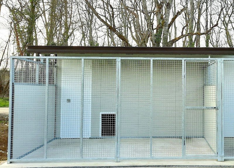 O'MEGAA CAMPUS DU CHIEN. Pension canine. Educateur canin. Comportementaliste - photo 2