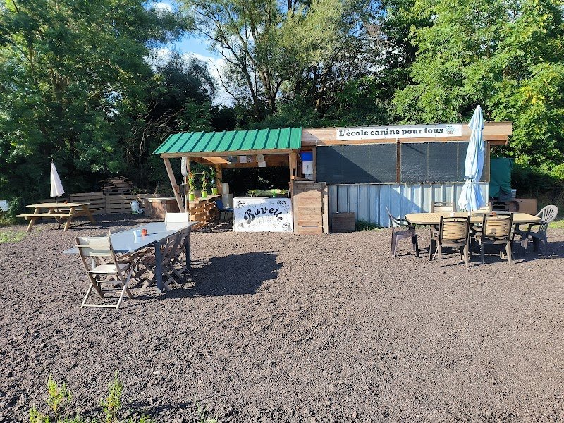 L'École canine pour tous - photo 1