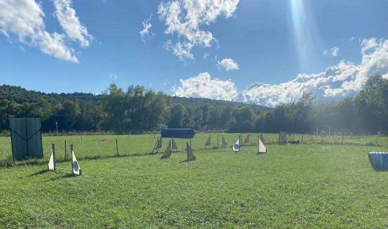 L'École canine pour tous - photo 2