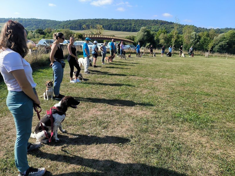 L'École canine pour tous - photo 3