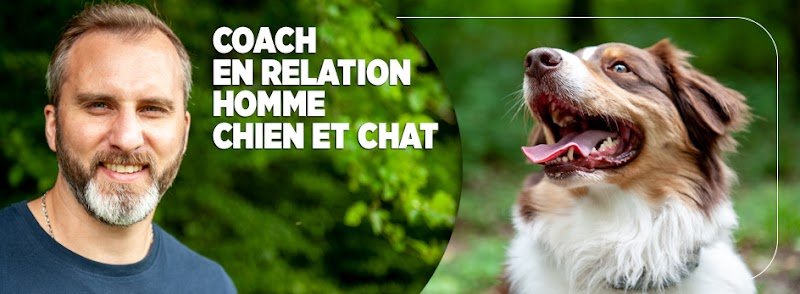 Ani'Coach - Educateur & Comportementaliste Canin & Félin
