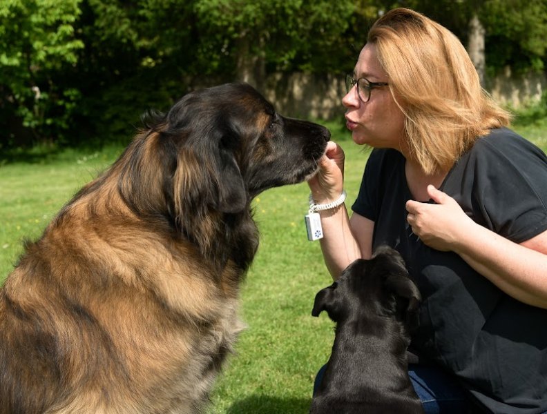 Besoins Canins – Educateur et Comportementaliste canin Yutz