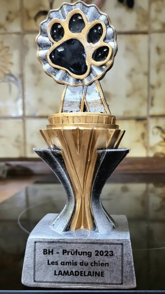 Les amis du Chien de Lamadelaine - photo 3