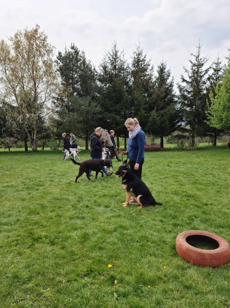 Club canin le Mechtii - photo 3