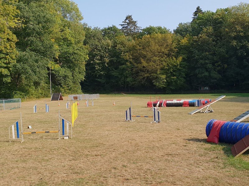 Terrain Amateurs du Chien de Race - photo 1