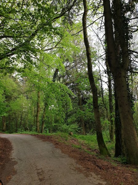 Terrain Amateurs du Chien de Race - photo 3