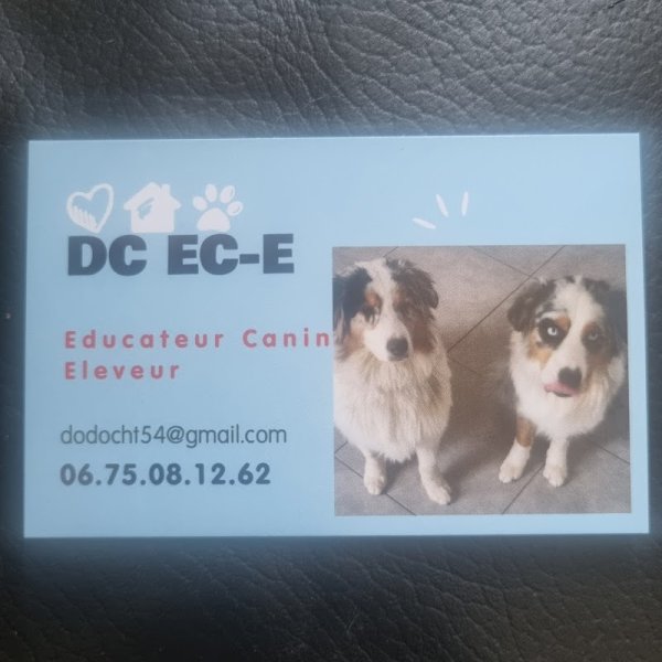 DC Éducateur Canin - photo 1