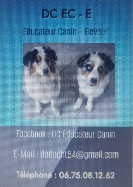 DC Éducateur Canin - photo 2