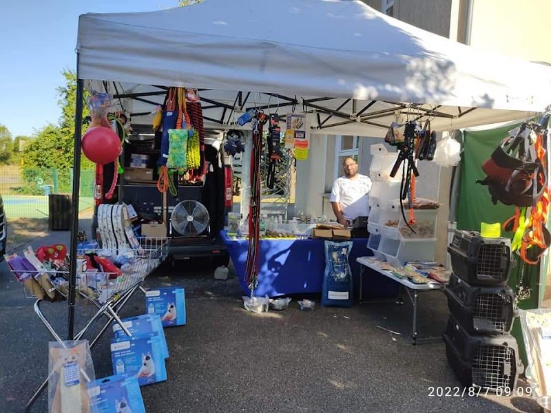 Vincent dog's training animalerie - photo 1