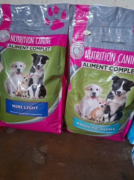 Vincent dog's training animalerie - photo 2