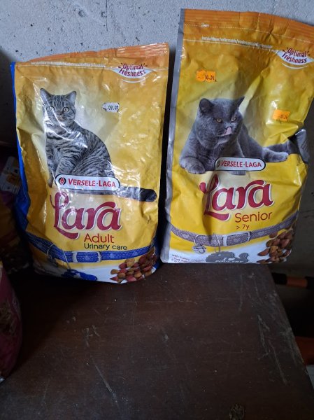 Vincent dog's training animalerie - photo 3