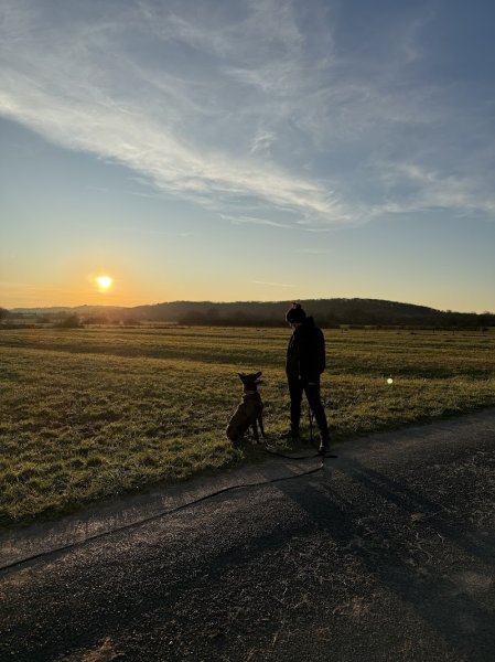 Angélique Coach canin