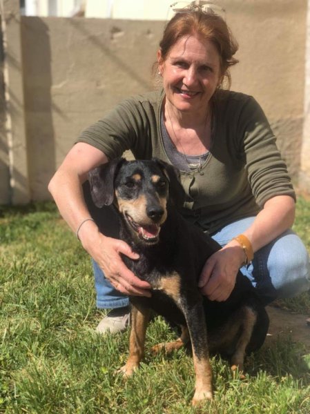 Le Chien Assis - photo 2