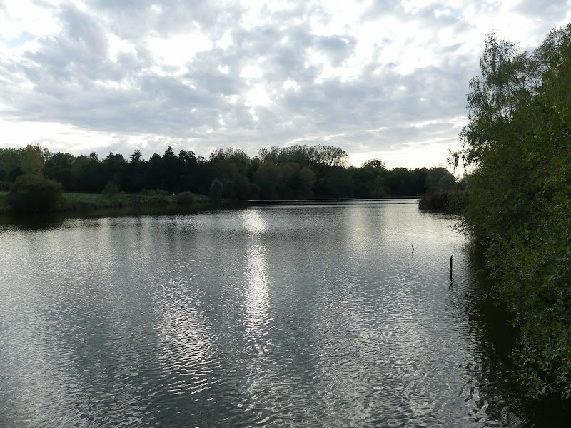 Club Canin Sommerviller - photo 2