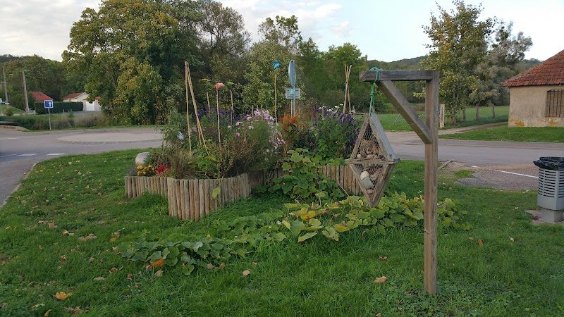 Club Canin Sommerviller - photo 3