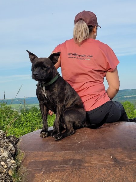 abc DOG center comportement canin