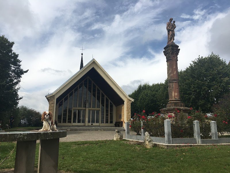 La Patte Blanche : Educateur comportementaliste canin - photo 3