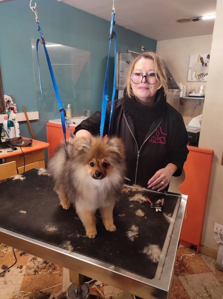 Esthéty Chien Sabine lefort - photo 1