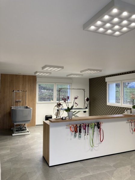 INSTITUT CANIN - Salon de toilettage et bien-être