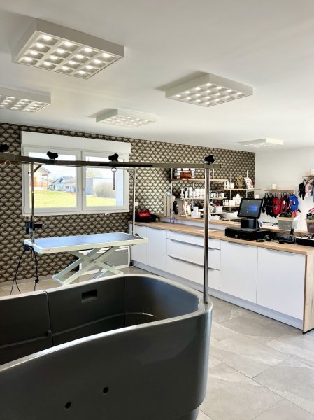 INSTITUT CANIN - Salon de toilettage et bien-être - photo 2