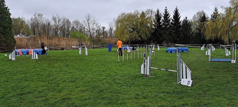 Training Club Canin de Thionville