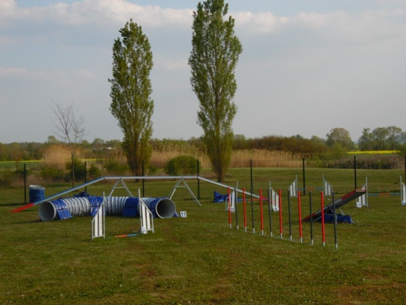 Domaine Bonheur Canin - photo 2