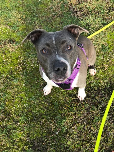 Domaine Bonheur Canin - photo 3