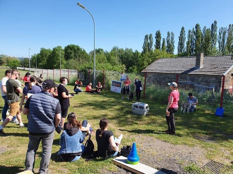 Club canin du saulnois - photo 2