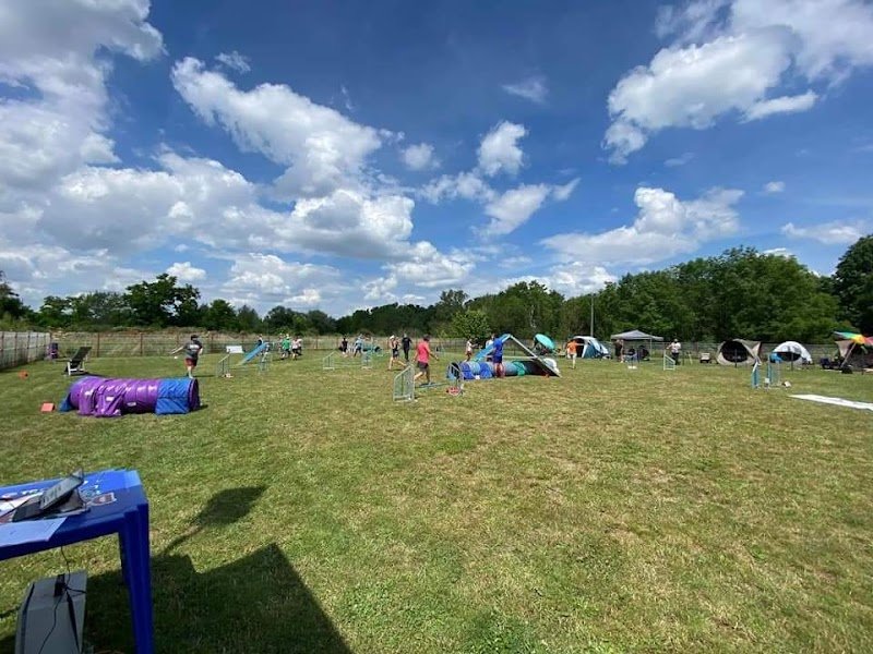 Club canin du saulnois - photo 3