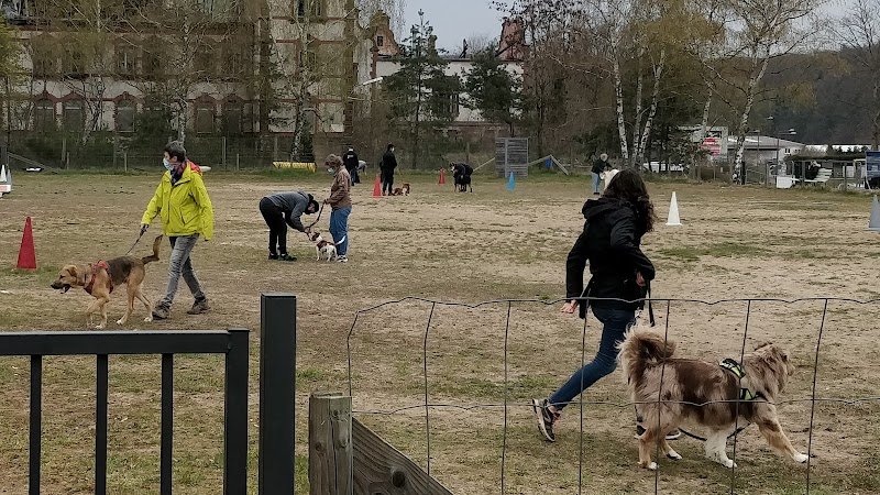 Club Canin de Saint-Avold - photo 2